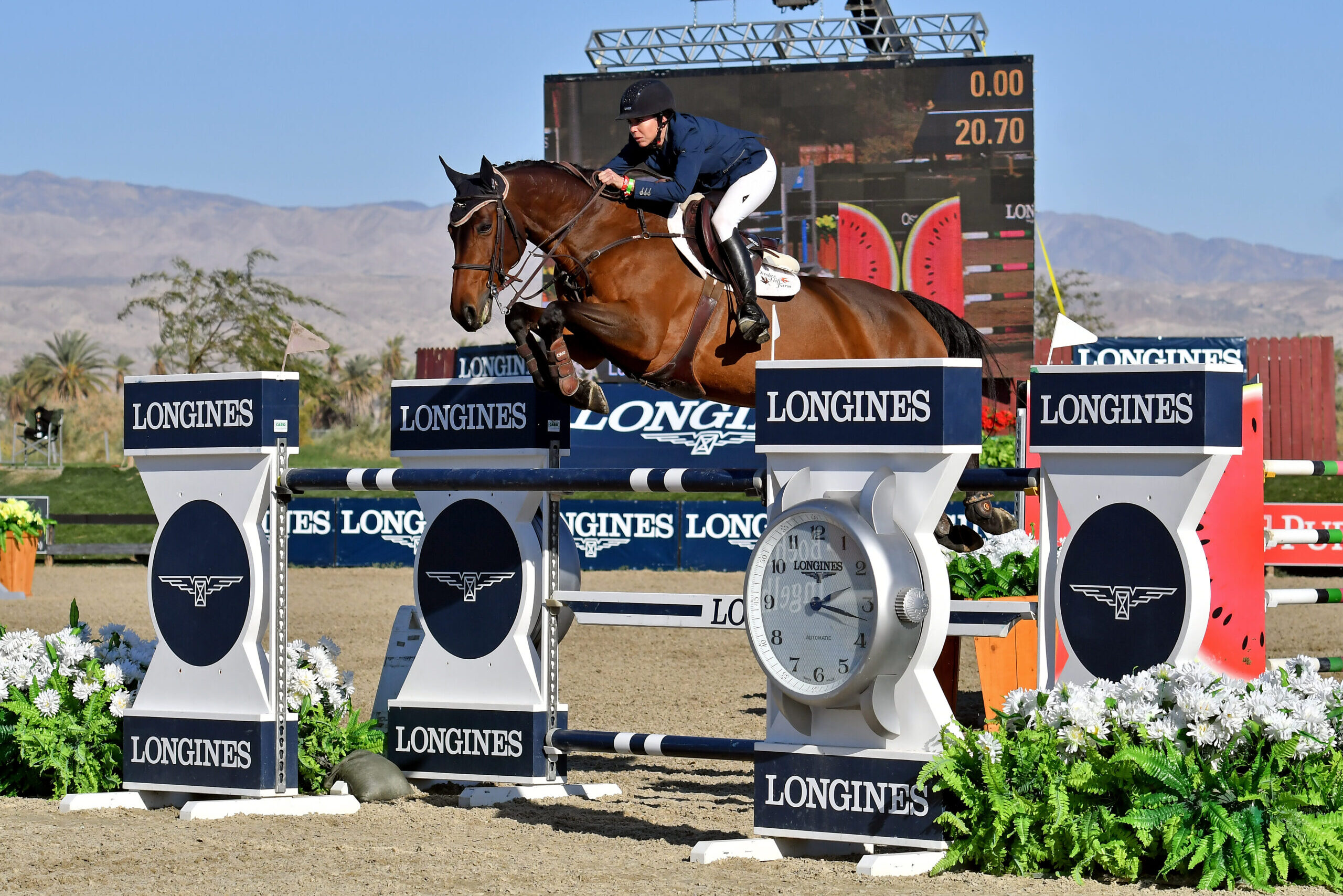 Jumper Horse