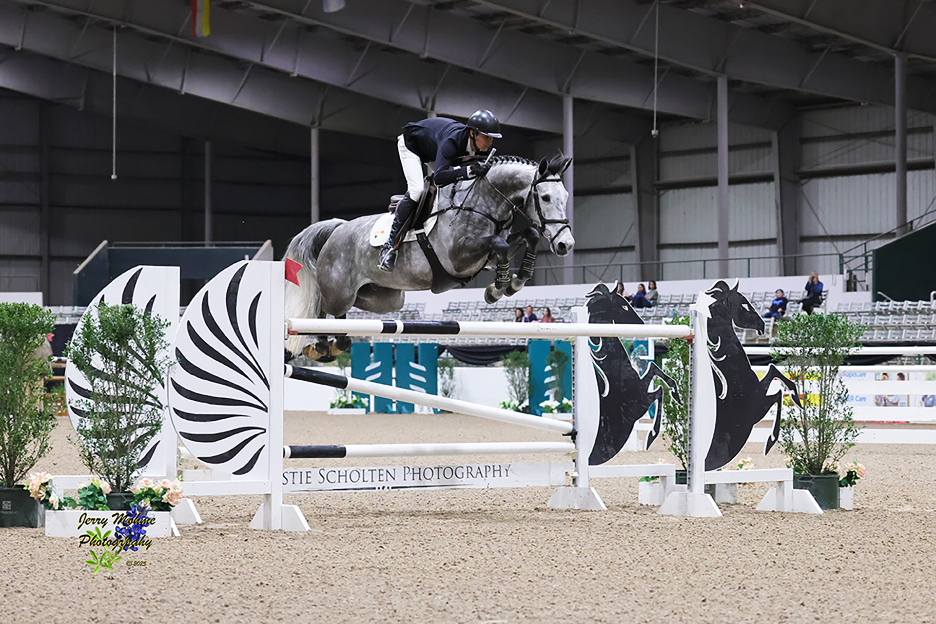 Jumper Horse